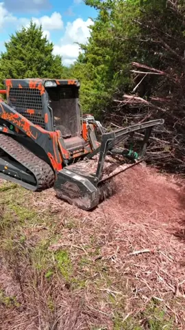Land reclamation and weeding skid steer loader