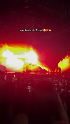 Concierto de Anuel en brooklyn barclays center NY estuvo chido 🔥#anuel #rhlm👹 #BrooklynNewYork #viraltiktok #foryuoupage 