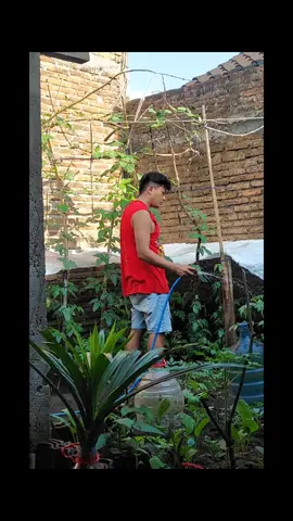 #menuabersamamu @DioNibilangit1 #❤️‍ 