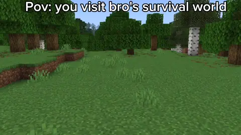 Pov: You visits bro's Minecraft survival world #wagurikaoruko #alya #Minecraft #waifu #anime 