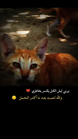 #عبارتكم #😔🥀💔 