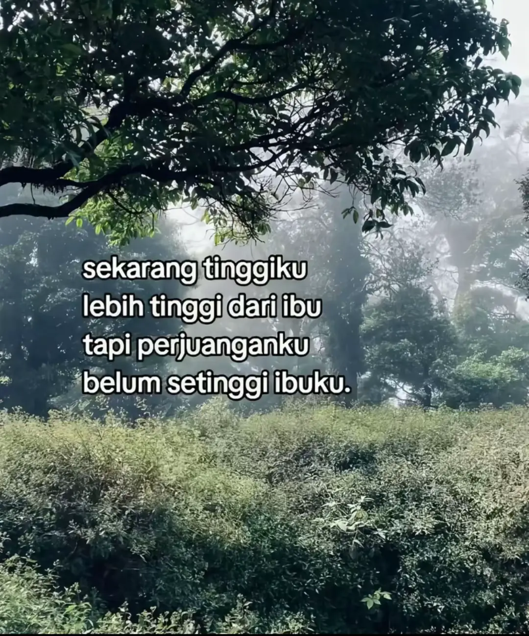 sehat” teruss yaa buk🥹