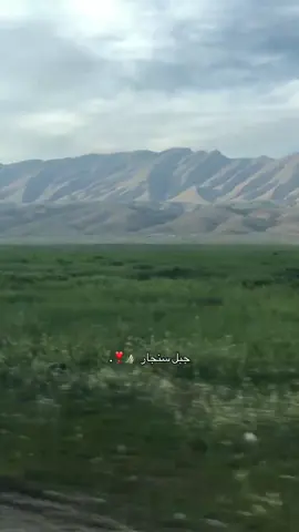 يقع جبل سنجار في الشمال الغربي من العراق شمال غربي محافظة نينوى ويسكن الجبل اليزيديون والاكراد وتتواجد قبيلة شمر في السهول الجنوبيه من هذا الجبل و سمي جبل سنجار بهذا الاسم نسبةً الى قبيلة سنجاره من شمر وذلك كونه رمزاً لقبيلة سنجاره من شمر منذ اكثر من قرنين  #جبل_سنجار #شمر#سنجاره #شنگال #العراق 