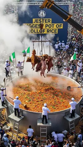 100 Thousand bags of Jollof Rice 😂🤣