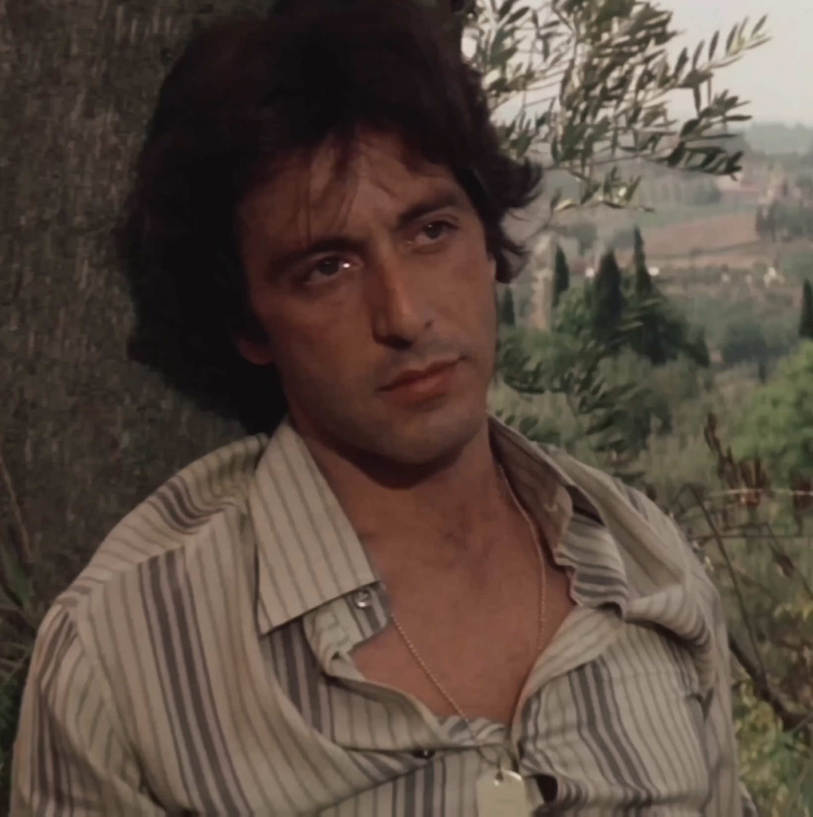 husband 🗣 || #alpacino || #youngalpacino #lamentira #millacorleone #alpacinoedit 