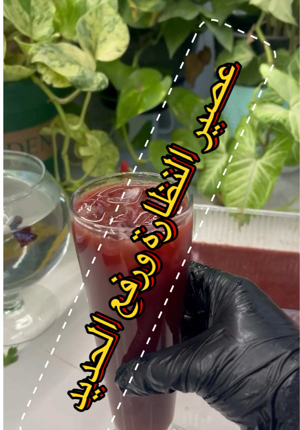 نزلت الكم عصير يرفع الحديد وبديل ابر النظاره ويقوي بصيللات الشعر والطعم يجنن وكلش طيب المكونات المذكوره بالفديو بعد ماتعصر بالخلاط تكدرون تضيفون عسل او سكر  او اي عصير محلى جاهز وياه  لان حلاته معتدله تعتمدون عليه بين يوم ويوم او يوميا نص كوب  وراح تشوفون الفرق وبنفس الوقت عصير للضيافه هلگد طيب. #اكسبلور #اكسبلور_فولو #يارب #your_coffee #كومنتات 