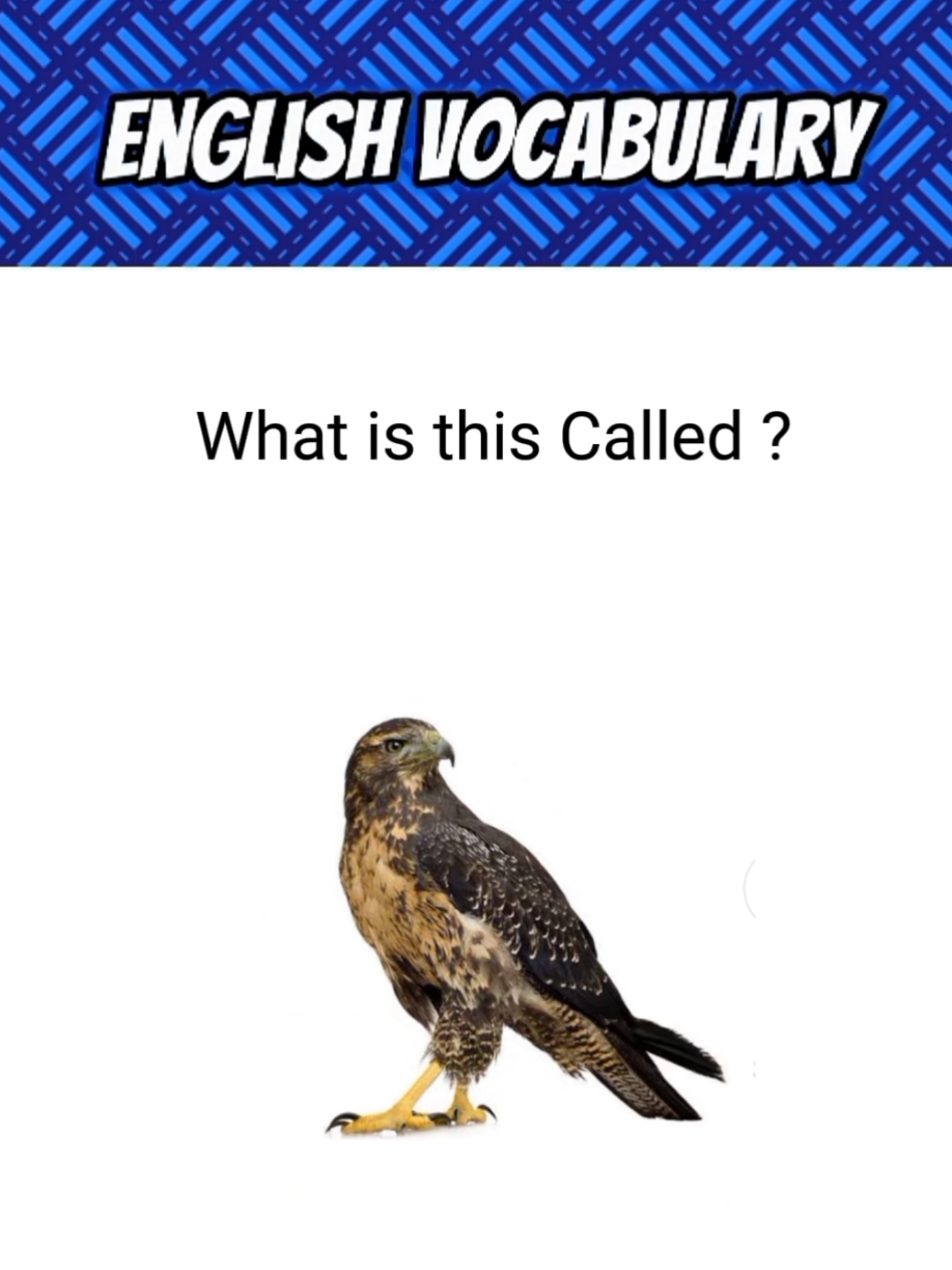 What is this called in English? #EnglishVocabulary, #LearnEnglish, #EnglishQuiz, #VocabularyChallenge, #EnglishLearning, #WordQuiz, #TikTokEnglish, #EnglishTips, #LearnEnglishWithMe, #EnglishPractice, #EnglishLessons, #EnglishTeacher, #EnglishWords, #DailyEnglish, #EnglishForBeginners, #ImproveYourEnglish, #StudyEnglish, #SpokenEnglish, #EnglishSpeaking, #WordOfTheDay, #QuizTime, #VocabularyBuilder, #EducationTikTok, #EnglishFun, #brainchallenge 