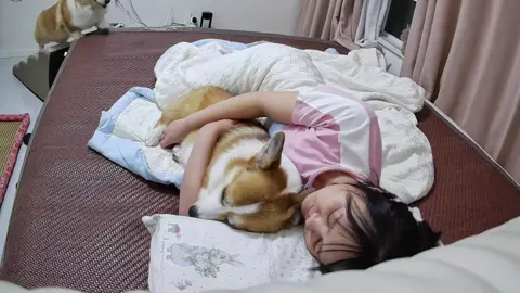 该怎么去形容这种感觉呢。#我和我的狗 #柯基 #萌宠出道计划
