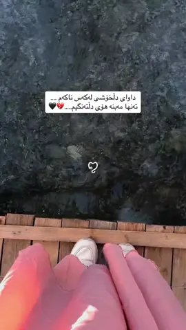 #الحمدلله_دائماً_وابداً #allah❤️ #cat 