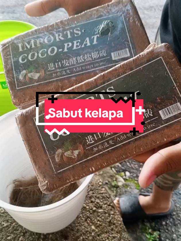 coco peat tanaman elokk#fyp #kelapa 