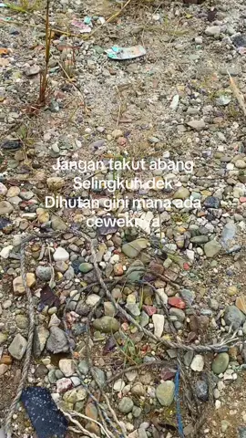 #iya dek abang cuman fokus kerja#fypage #dompengbalap #lewatberanda 