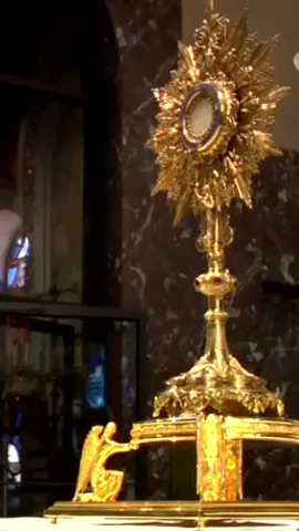 Pourquoi les saints passaient des heures devant le Saint-Sacrement ? Découvrez cela dans cette vidéo.  🖋 Pour aller plus loin, lisez l'article 