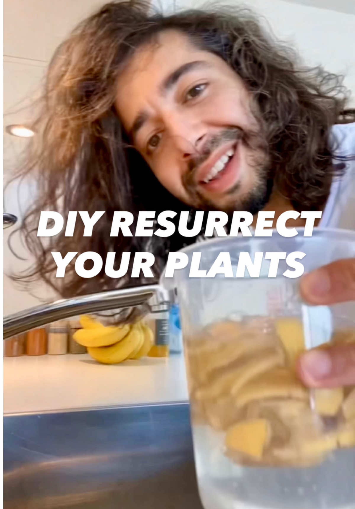 Do this before you throw out a plant! 🌱😲#lifehacks #planttips #gardening #TikTokLearningCampaign 