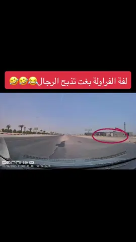 سلم وماله سلامه 😂😂#الشعب_الصيني_ماله_حل😂😂 #اكسبلور #explore #الرياض 