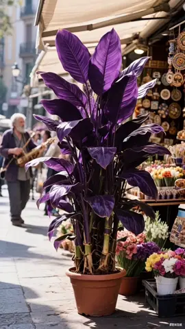 Plant this, and your home will be the envy of the street.#tiktokpartner #outdoorplanting #flowers #tiktokshop 