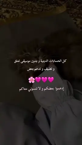البنات للبنات🥹🩷 #حالات_واتس #حلال #زواج #دعم 