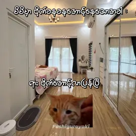 Mom vs Chatgpt vs Google 🥲 #yokisan🥂 #foryou #foryoupage #fypシ #viral 