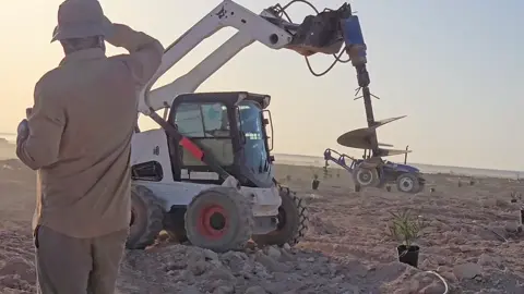 بجهود الأبطال ستكون بادية السماوة ان شاء الله سلة العراق الغذائية الأولى  مشروع المليون #نخلة 