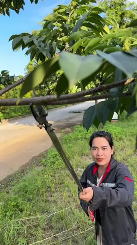 Kéo cắt cành cây đa năng#daotichcuc1 #keocatcanh 
