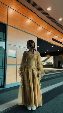 her dreams with her. #padmeamidala #starwars #fyp #foryou #starwarsfan 