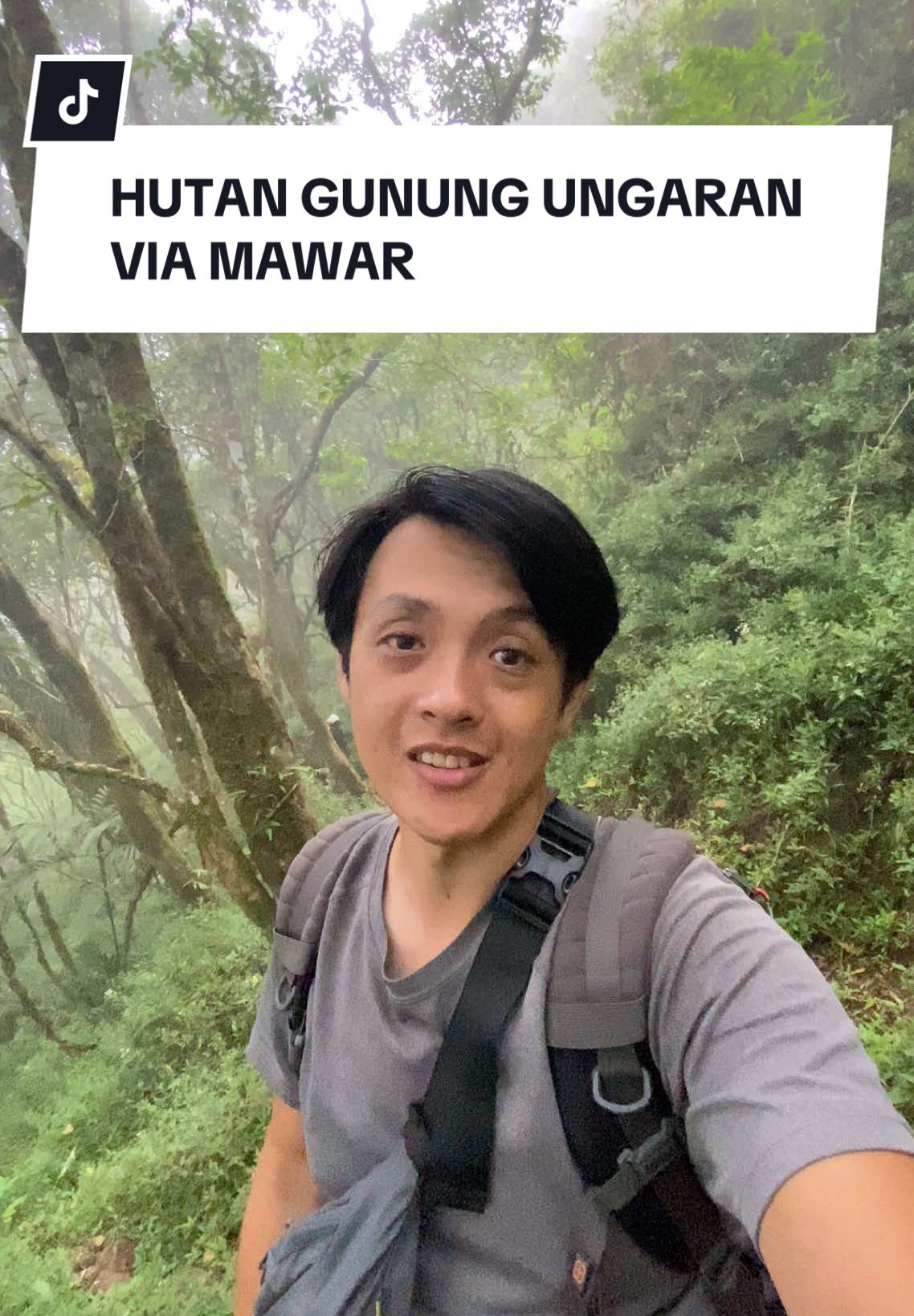 Karena jalur pendakian Gunung Ungaran via Mawar ini sekarang sepi pendaki, suasana hutannya jadi hening banget ! Kamu jadi bisa dengerin suara burung berkicau dengan jelas bahkan suara gesekan daun yang tertiup angin. Bener-bener tempat yang cocok banget buat healing ato forest bathing sih ini 😁