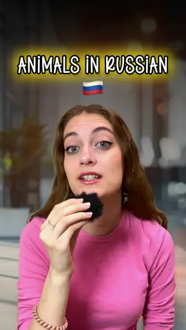 Animals in Russian 🇷🇺 #russia #russiangirl #russian #learnrussian #russianlanguage 