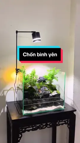 Chốn bình yên #tieucanh #ngocaquadesign #thacnuoc #paludarium #bancan 