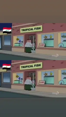دوبلاج عراقي🇮🇶 #كرتون #تحشيش #دوبلاج #كوميدي #familyguy 