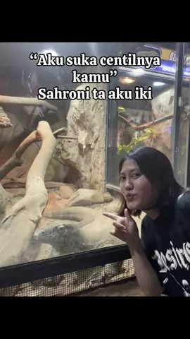 nemu kata kata di ig wkwkw