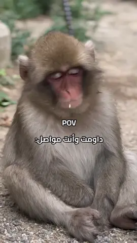 🙄😂😂 #foryoupage #trind #foryou #pov #دوام 