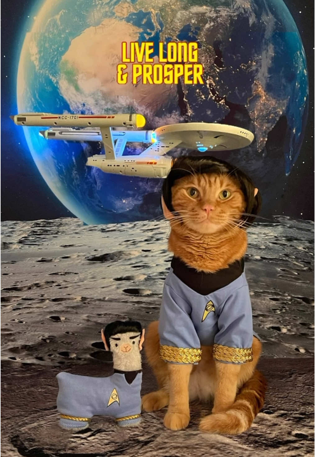 “Live long and prosper” ~ Spock 🖖 Just like our Star Trek friends, we are all set to explore the universe! ✨🚀🪐🛸 #spock #vulcan #trekkies #startrekbeyond #tigerjojo             