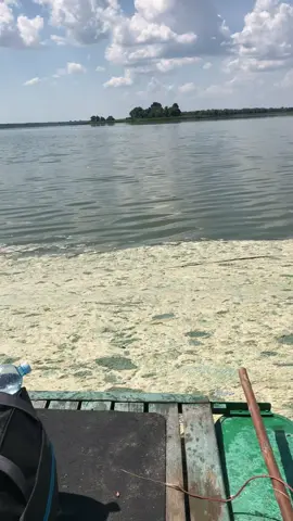 #цьогодня 