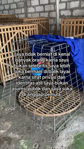 #pati24jam #bkselatan #bangkokklasik #ayambangkoksuper #fyppppppppppppppppppppppp 