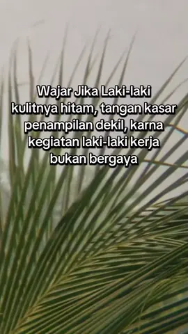 Story Anak Rantau #anakrantau #storyanakrantau 