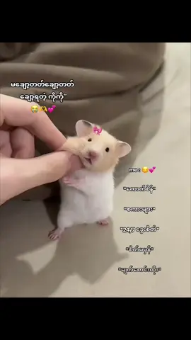 😭#fyppppppppppppppppppppppp #tiktok #fyp #thinkb4youdo #ကောက်စိန် 