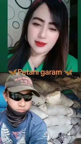 petani garam desa penambangan #fyp 
