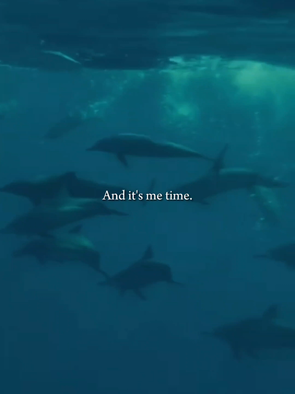 Rise & Shine  #LovinaDolphins #BaliMagic #BeingBali #BaliTravel        #CapCut 