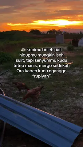 wong sangar hadiah e heppy ending#johorpride🏴‍☠️ 