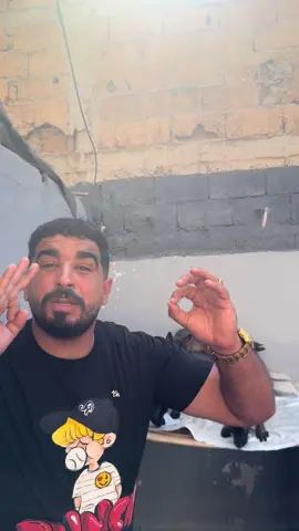 #0627023644 #شعب_الصيني_ماله_حل😂😂 