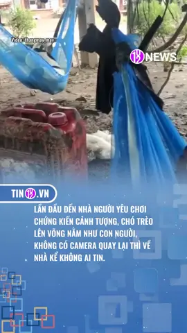 THÔNG MINH THẬT SỰ LUÔN #giaitri #tiktoknews #tiktokgiaitri #giaitritiktok #tin102.vn 