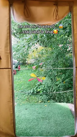 Dragonfly Gardens Brașov, destinația dvs. unică de glamping în inima orașului Brașov. Situat într-o oază verde în mijlocul peisajului urban, locul de glamping oferă o experiență extraordinară unde puteți dormi în corturi elegante sau căruțe fermecătoare, înconjurați de viața vibrantă a orașului, dar feriți de agitație. #vikipedia #cazariinedite #descoperaromania #romania🇷🇴 