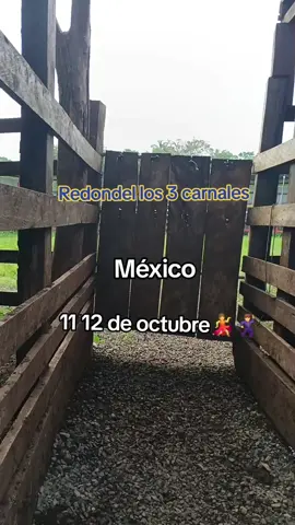 #nicaragua🇳🇮 #fiesta#taurinas  #Rodeo #gustos los esperamos mi Gente San carlo Rio sanjuan 🫡