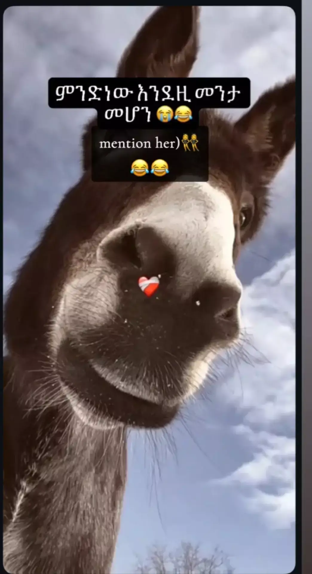 #oromotiktok #ethiopian_tik_tok #oromotiktok #oro #ethiopian_tik_tok 