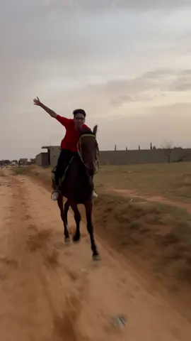 #خيل_وخياله🐎 #خيل_عربي #حصاني #خيال #girls 