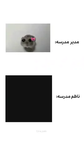 #فوريو 