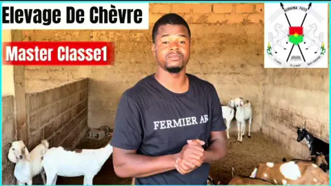 Elevage de chèvre(01) Disponible sur YouTube < Sambla Farming>#burkinafaso🇧🇫 @RTB Télévision @Investiraupays @ANIMALERIE-NIGER 