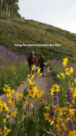 these are the moments we live for 🥾🌲⛺️💦✨ we love all things outdoors and can’t say no to more adventure! we really do love the core memories made on every adventure. if you’re the same way we should be besties!  follow @ourfulltimeadventure for more outdoors content!  #travel #outdoorsy #naturelovers #travelcouple