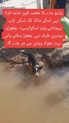 #virol 