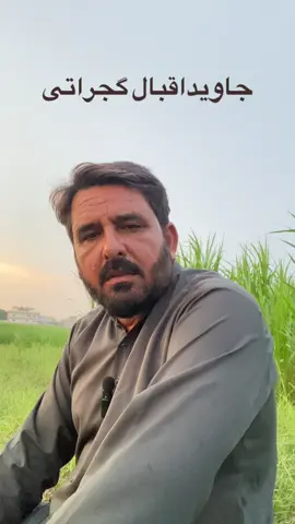 @Azhar Amra Gujrati @جاویداقبال jutt @QasimAmraOffical #fouryou #viralvideos 