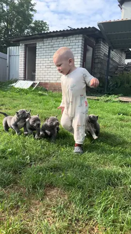Чуть не съели 